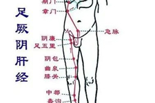 想减肥，先解决肝郁和脾虚