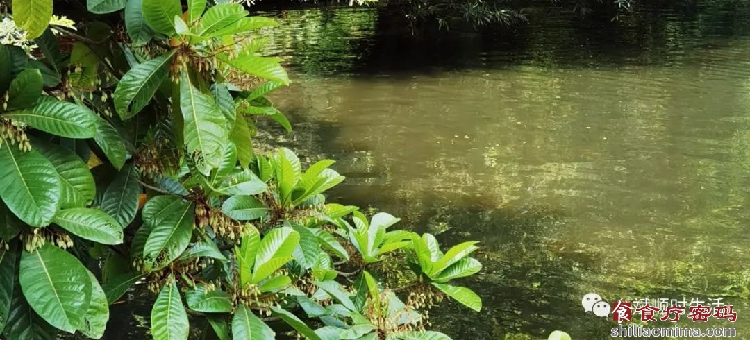 秋天已过大半，身体内的“浊水” 清了吗？