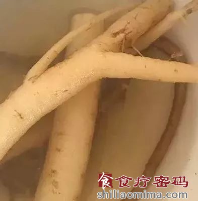 让女人美丽的花（四）：藏红花的美食方和食疗方