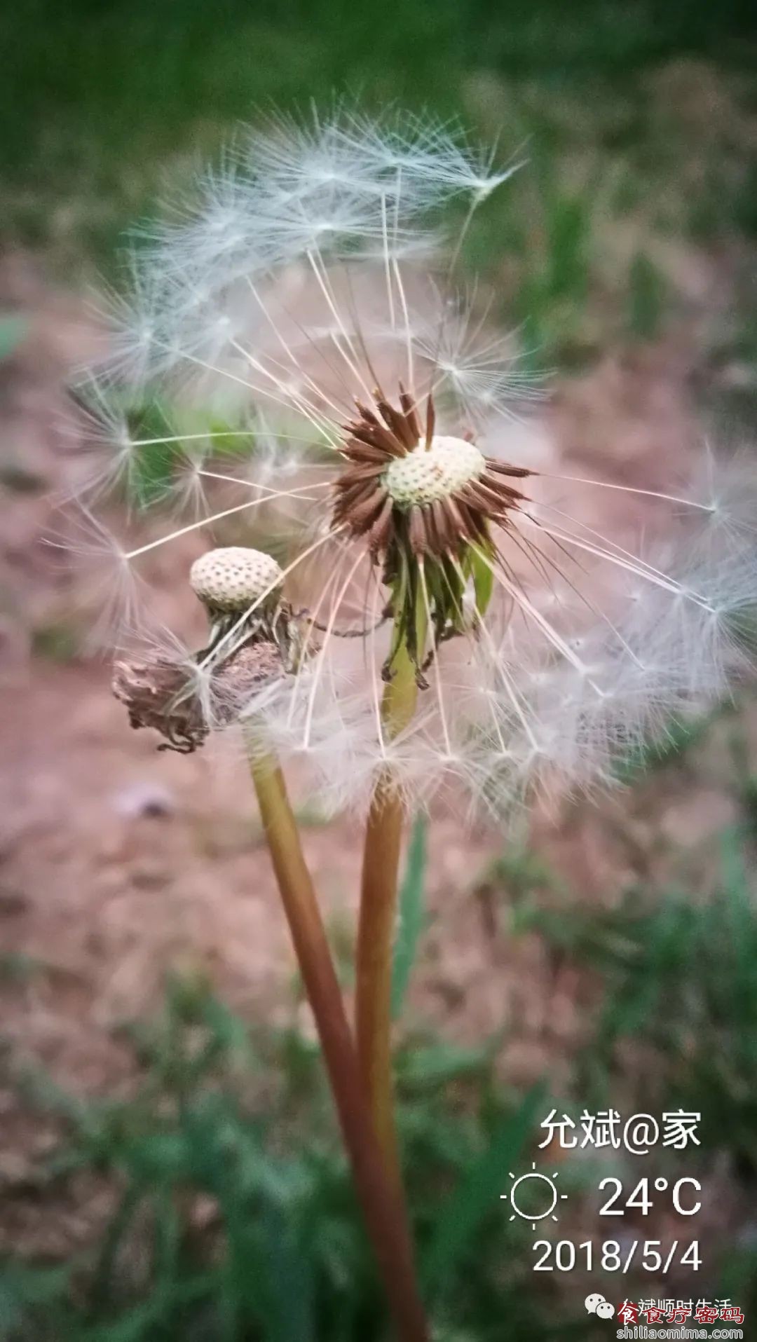 世界抗癌日 | 藏在我们身边的“抗癌药”