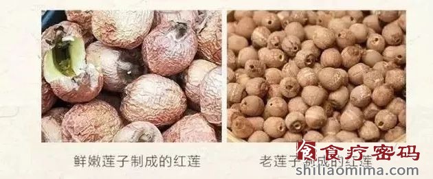 “水中灵芝”（五）：红莲是宝，可惜世人煮吃了