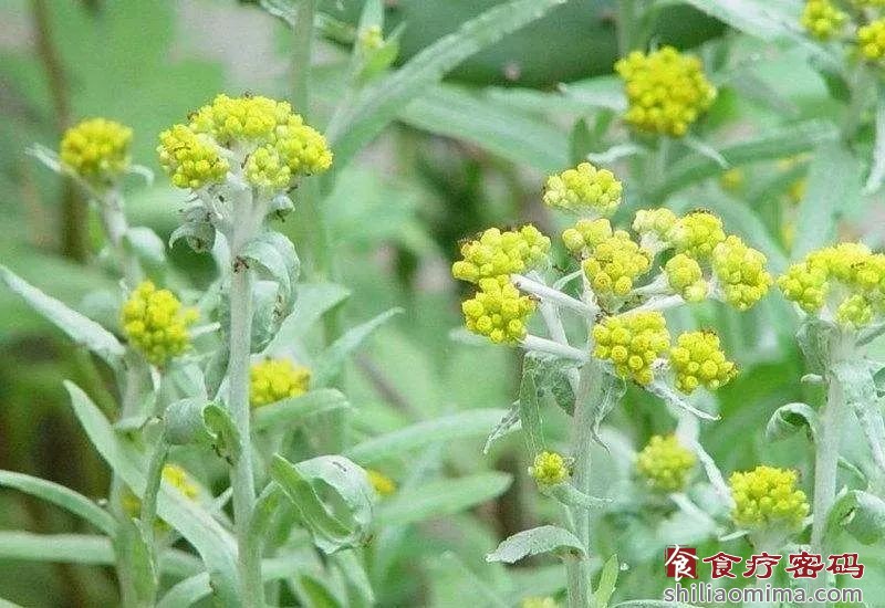 清明节气的养生美食：青团