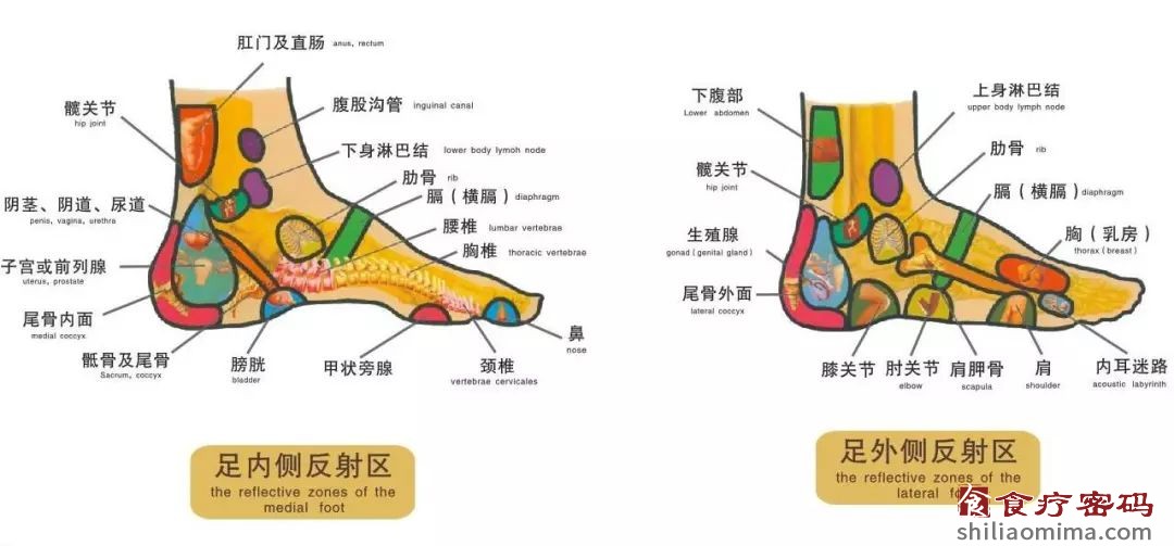 严冬肃杀，宜从头到脚养护，谨防心梗脑梗